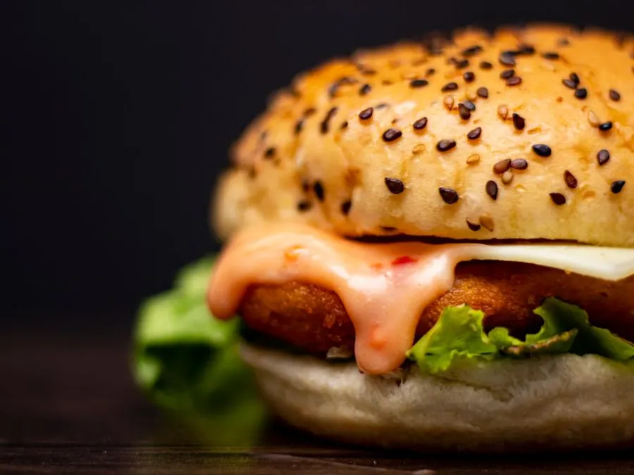 Cheese Kebab Burger (homemade)
